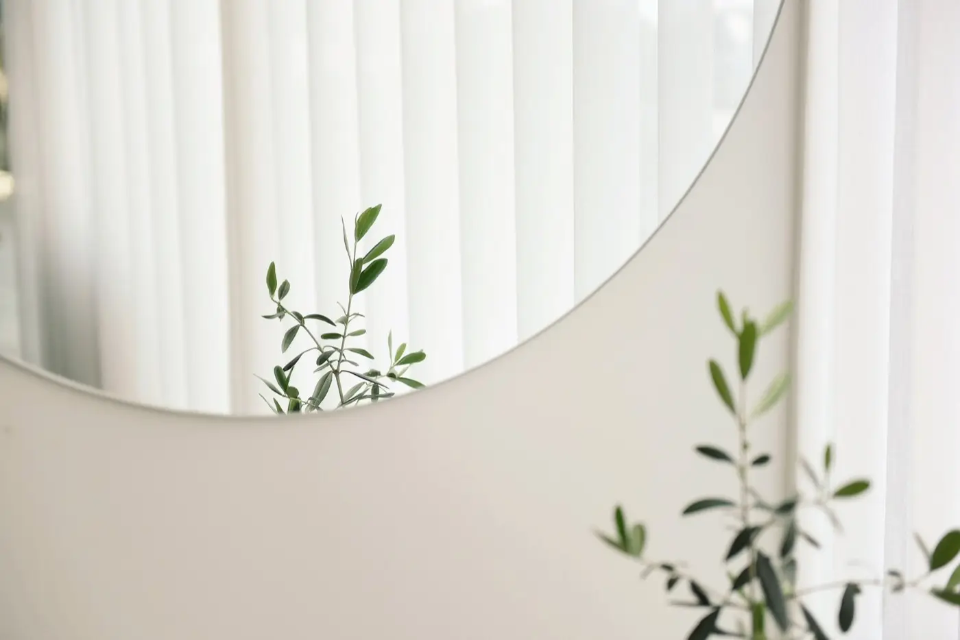 Interior plant reflection detail